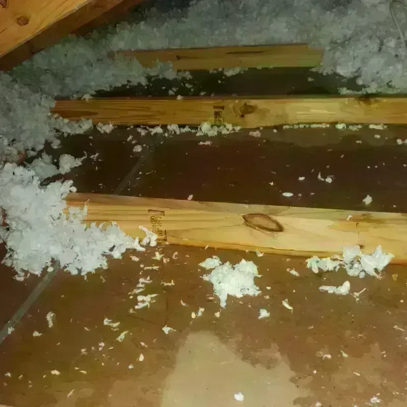 Attic Water Damage in Kingston, TN